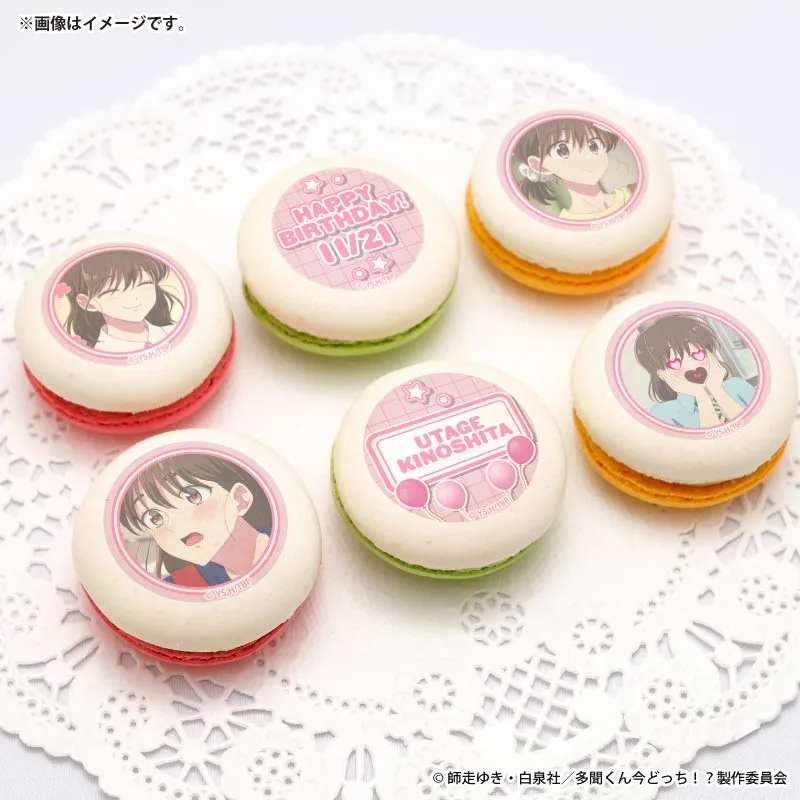 バースデープリマカロン6個セット2026（木下うたげ）【特典缶バッジ付き】[多聞くん今どっち！？]