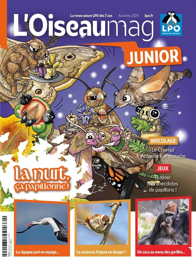 Dernière couverture — oiseau mag junior