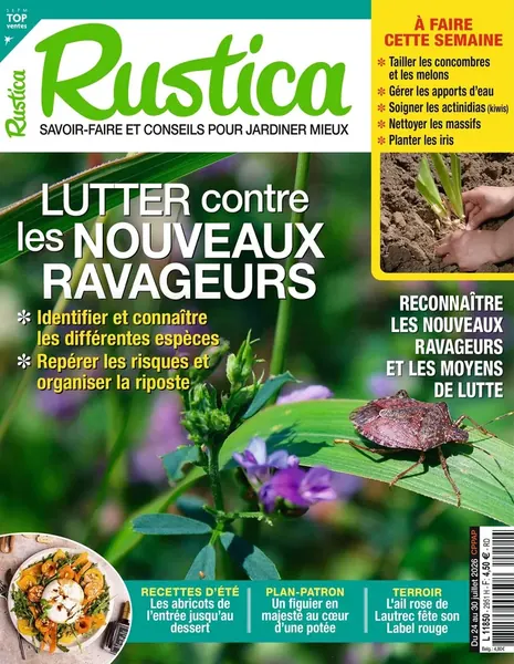 Dernière couverture — Rustica