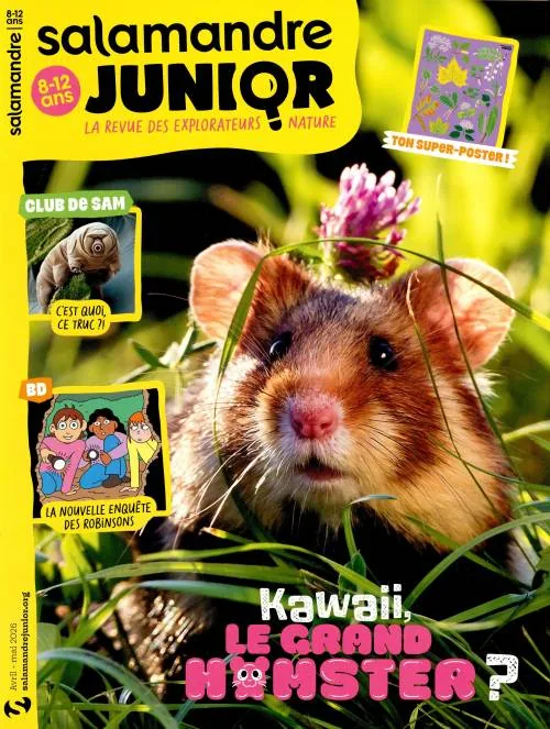 Dernière couverture — Salamandre Junior