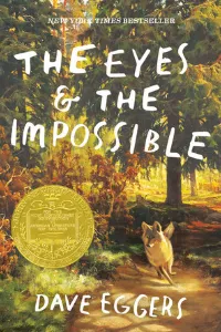 The Eyes and The Impossible