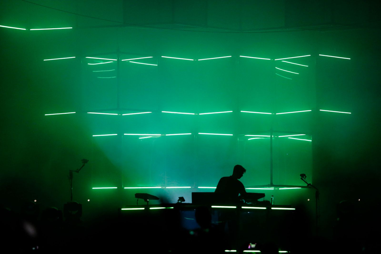 Flume_SonarPub_sonar2016_Leafhopper_007.jpg