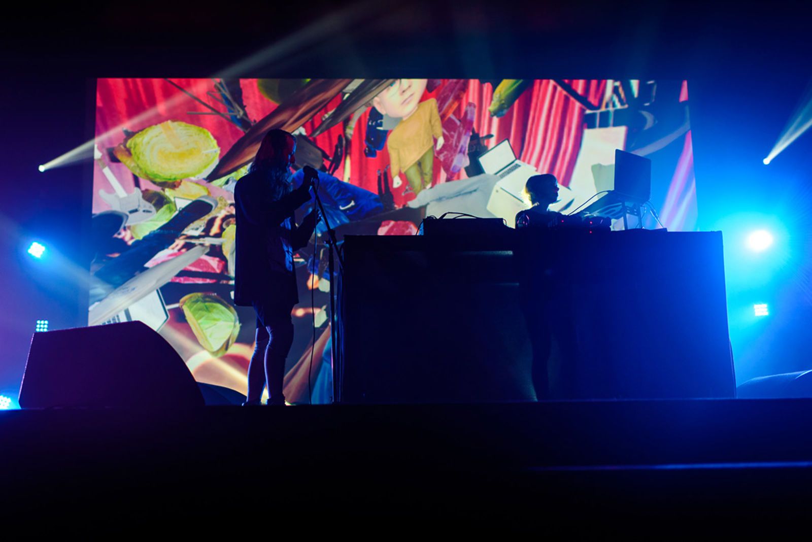 HollyHerndon_Complex_Sonar2015_ArielMartini-(2).jpg