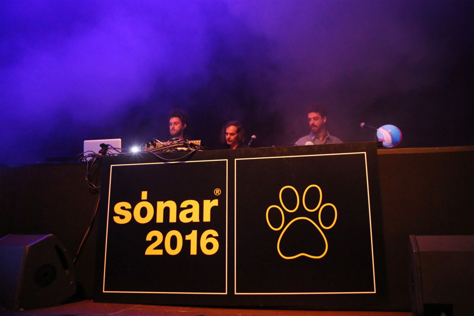 RedAxes_SonarPub_sonar2016_Leafhopper_004.jpg