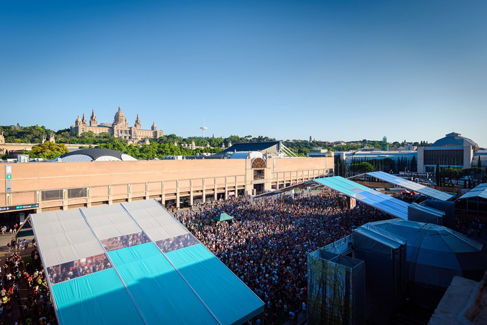 Roof_Sonar2015_ArielMartini-(6).jpg