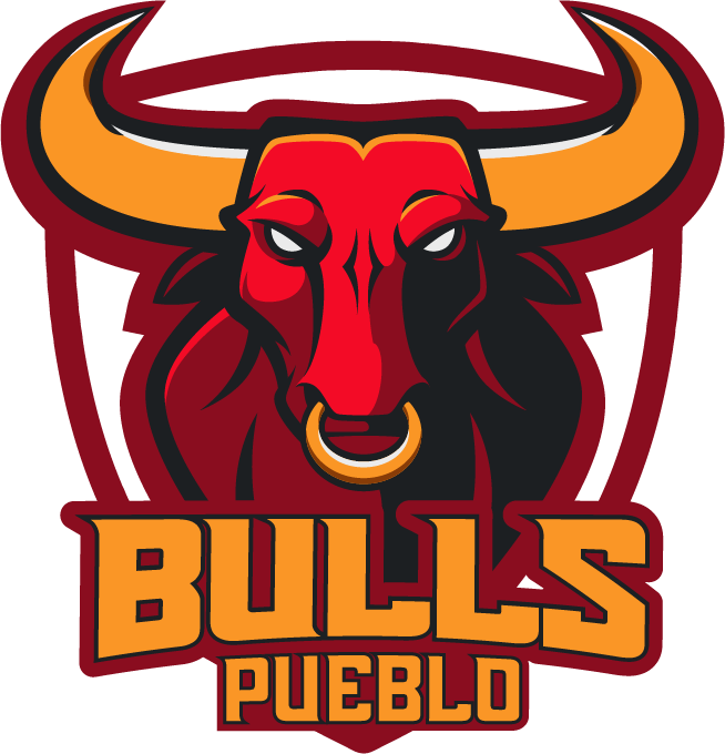 Pueblo Bulls Ticket Portal