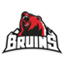 Missoula Junior Bruins