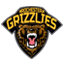 Rochester Grizzlies