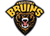 Austin Bruins