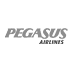 S2024_Web_Logos72x72_Pegasus_Footer.png