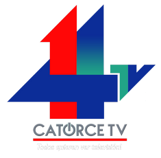 https://catorcetv.com