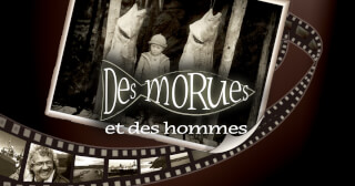 Des morues et des hommes