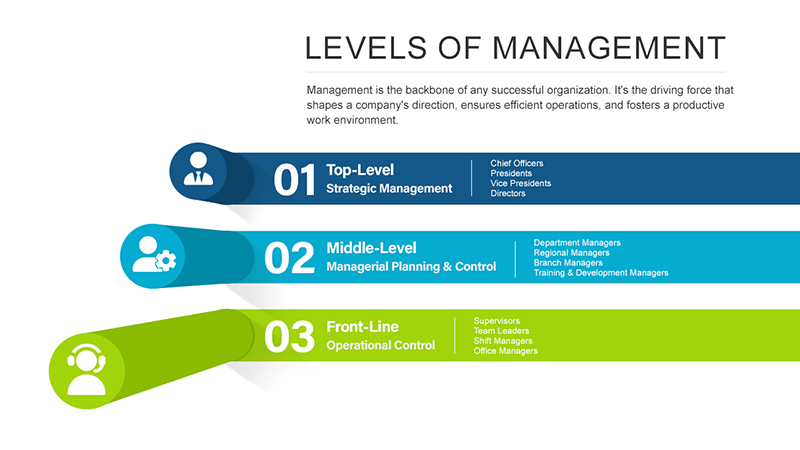 Understanding the Levels of Management in an Organization - Aurora Training  Advantage