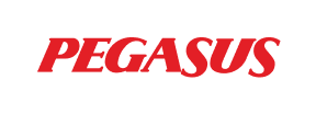 Pegasus