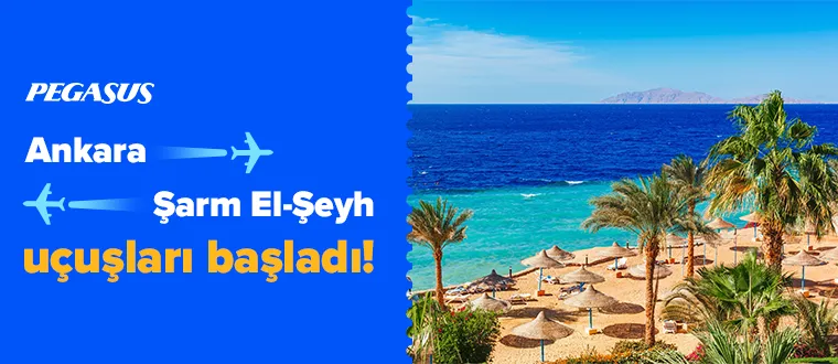 Ankara ✈ Şarm El-Şeyh uçuşları başladı!