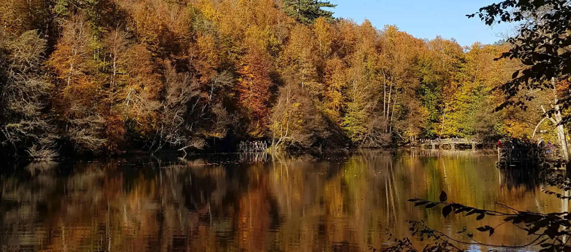 abant-hangi-mevsim-gidilir.webp