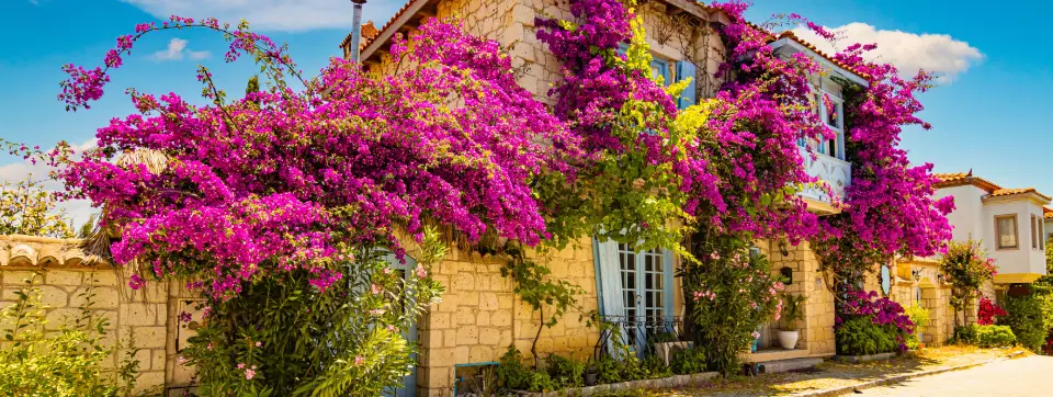 alacati.webp