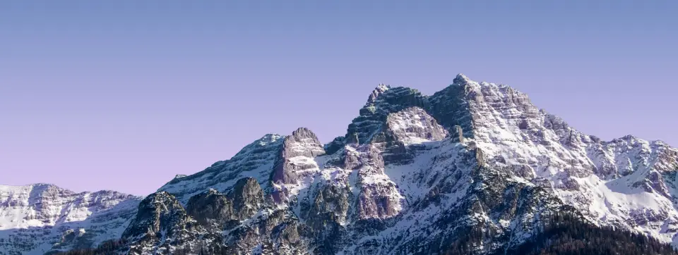 alp-gorsel.webp