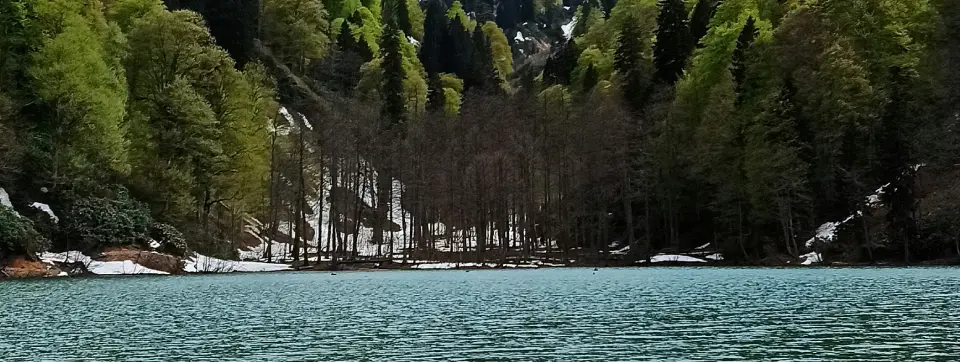 artvin.webp