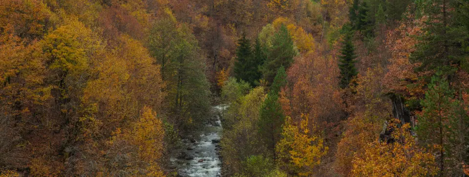 artvin-savsat.webp