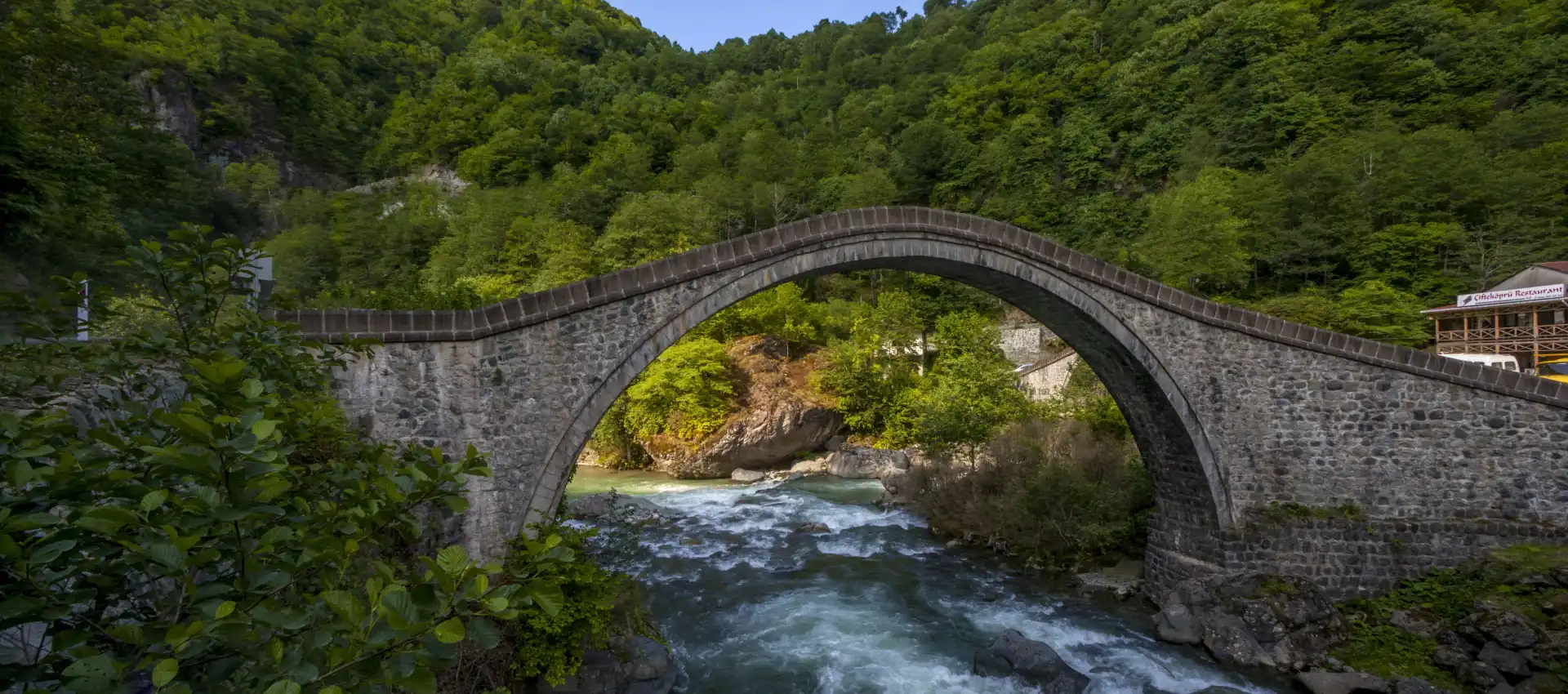 artvin-ucak-bileti.webp