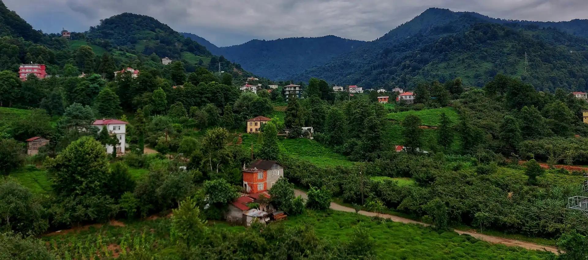 artvin-yaylari.webp