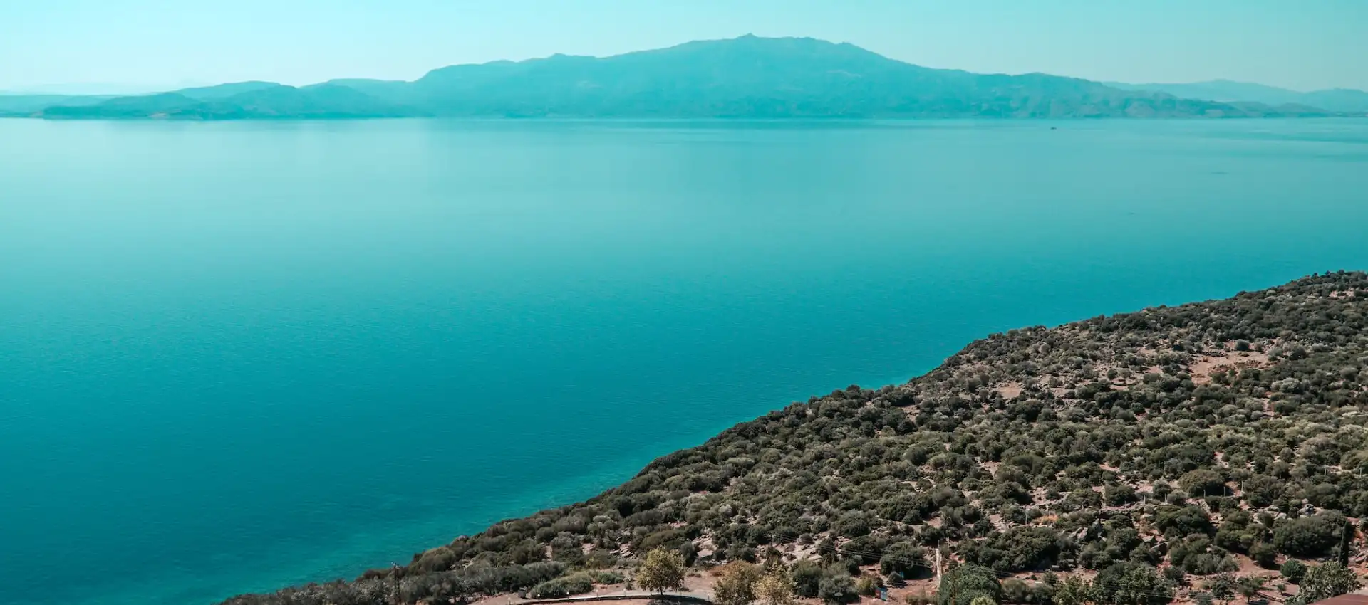 assos.webp