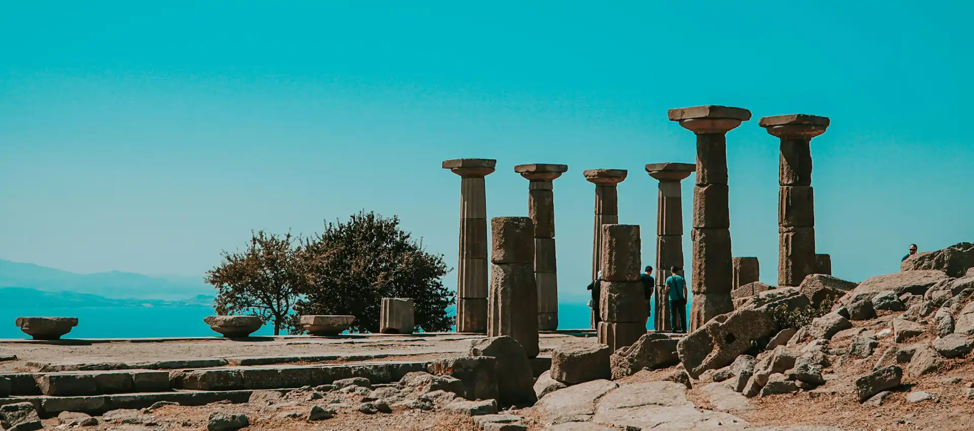 assos.webp
