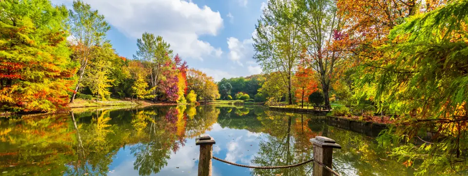 Atatürk Arboretumu