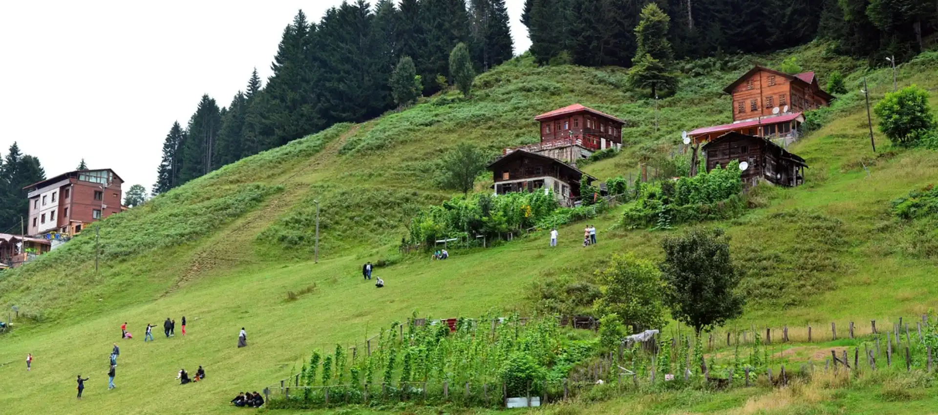 ayder.webp