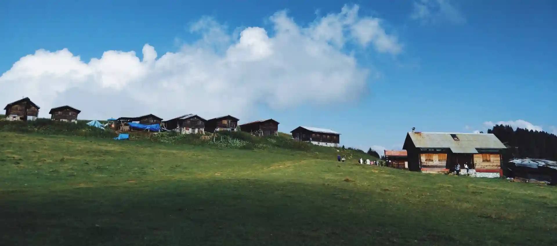 ayder-yaylasi.webp
