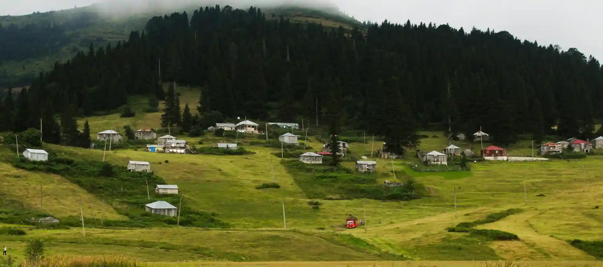 ayder-yaylasi.webp