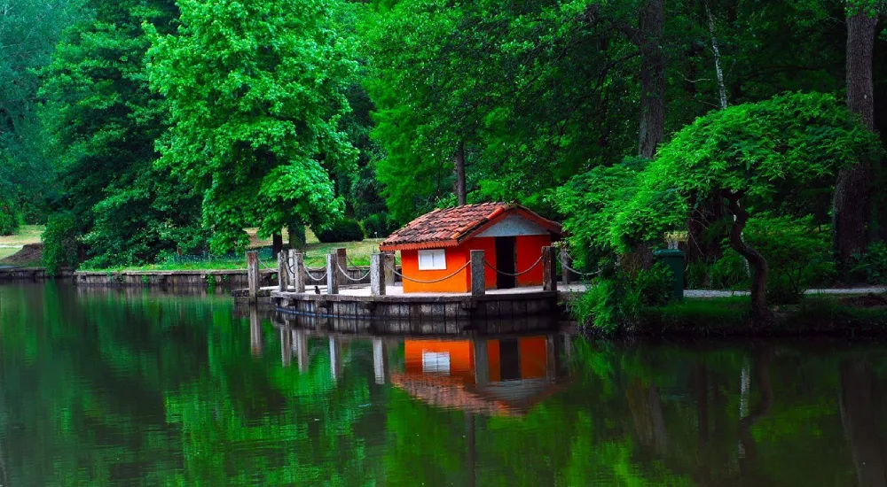 belgrad-ormani.webp