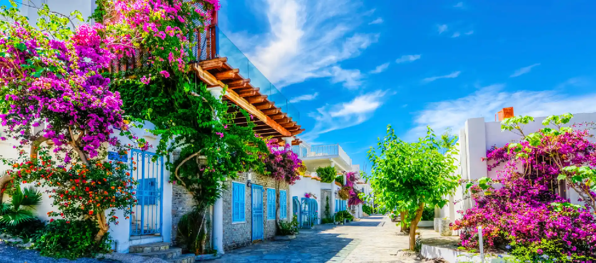 bodrum.webp