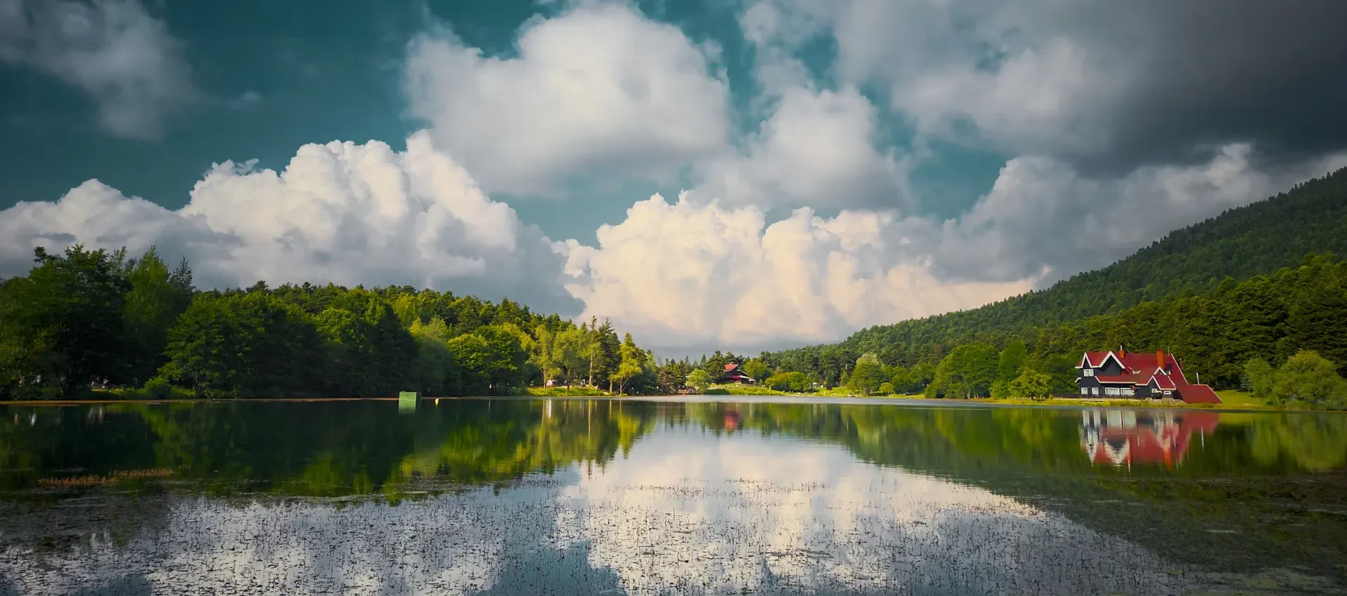 bolu.webp