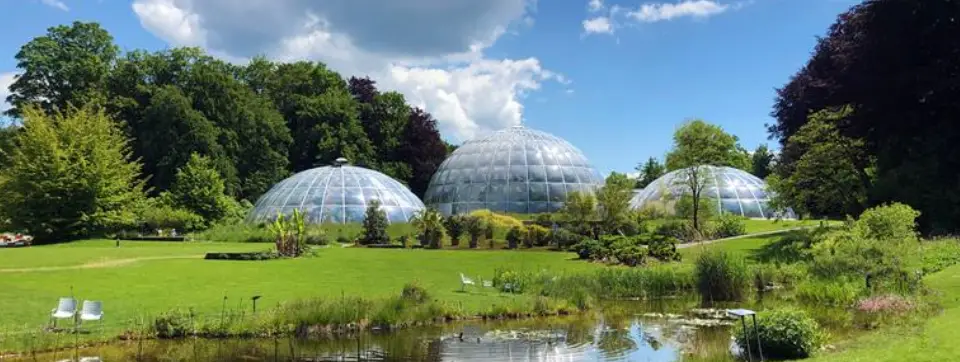 botanik-garden.webp