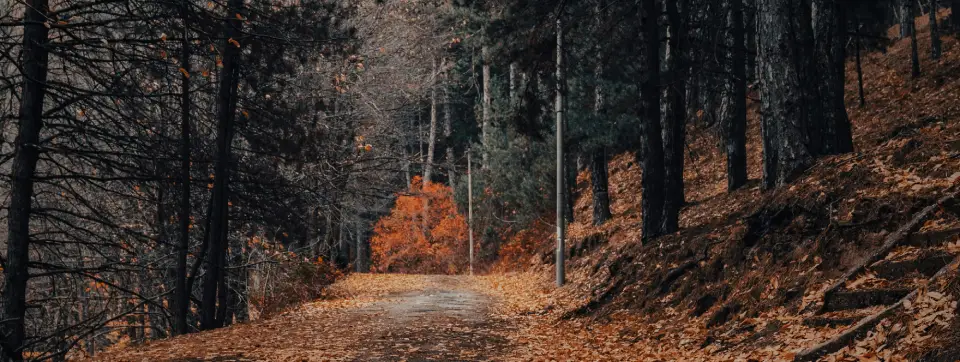 bozdag-gorsel.webp