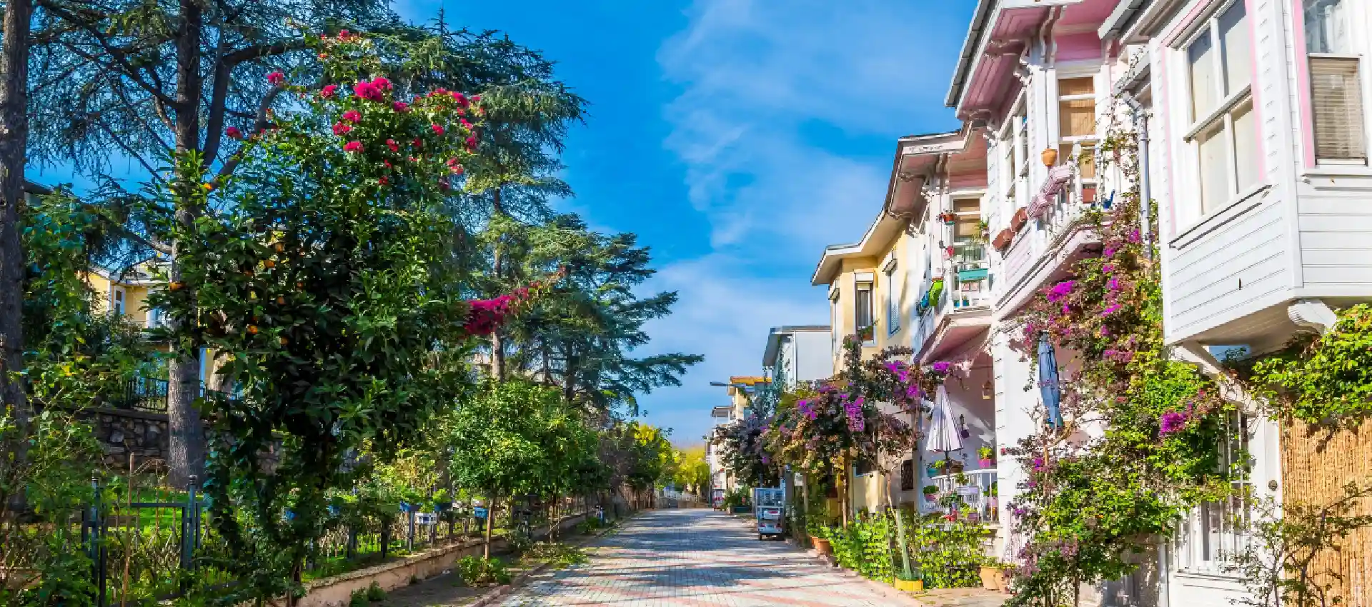 burgazada.webp