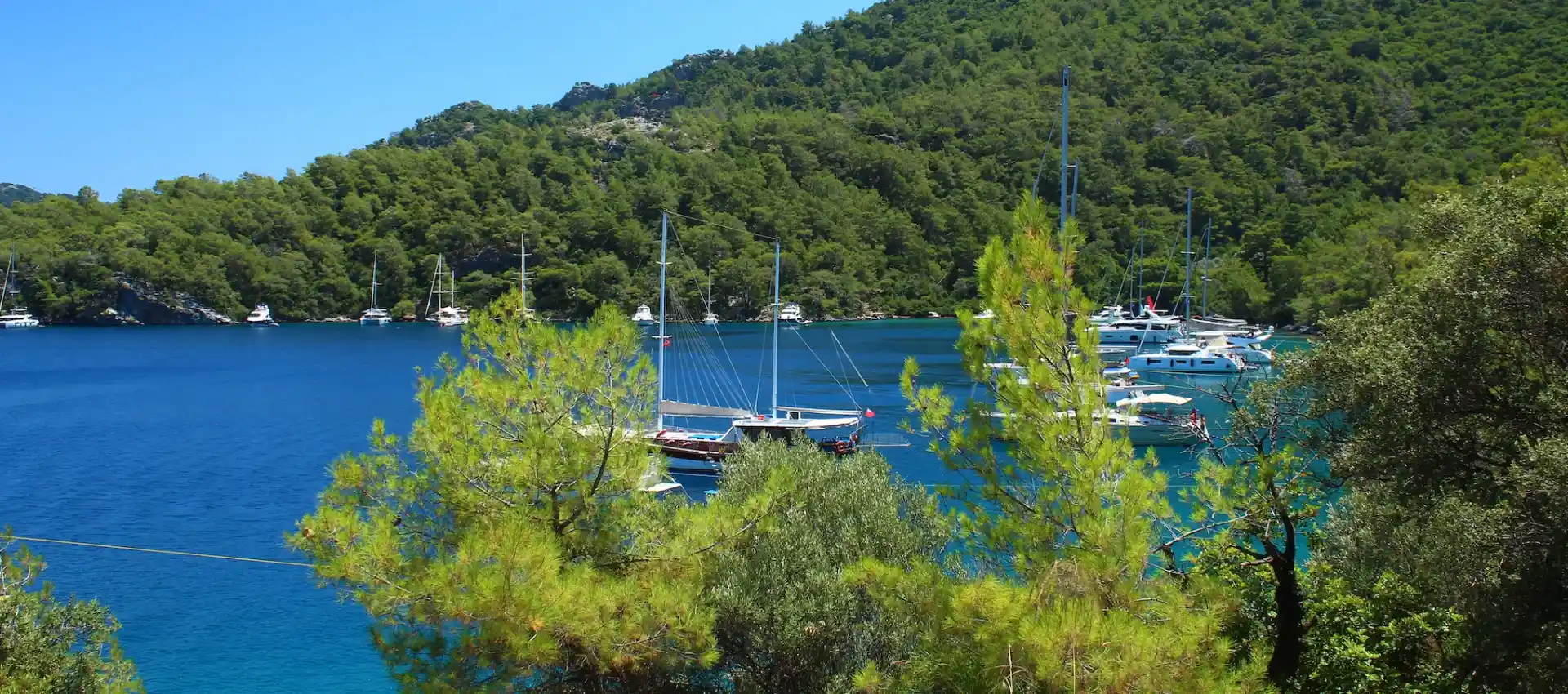 dalaman.webp