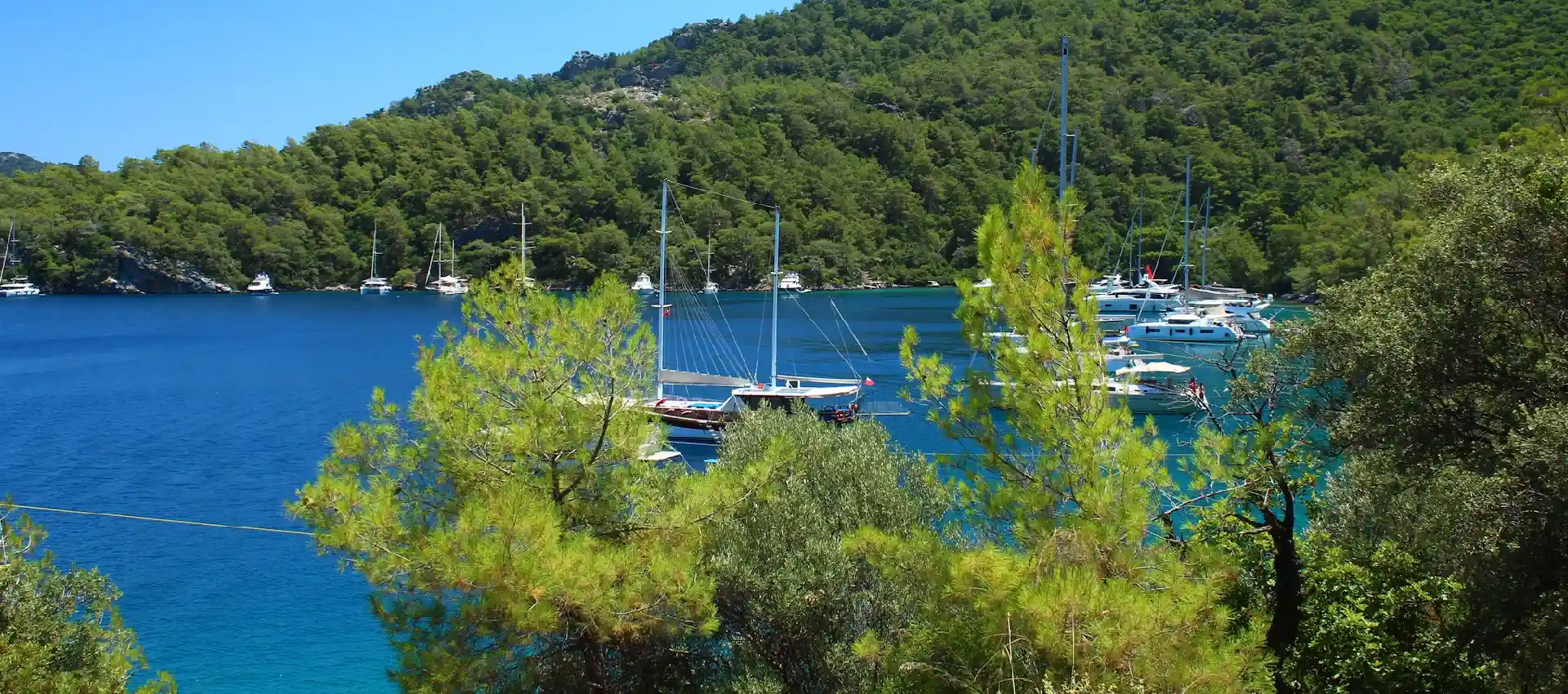 dalaman-kamp.webp