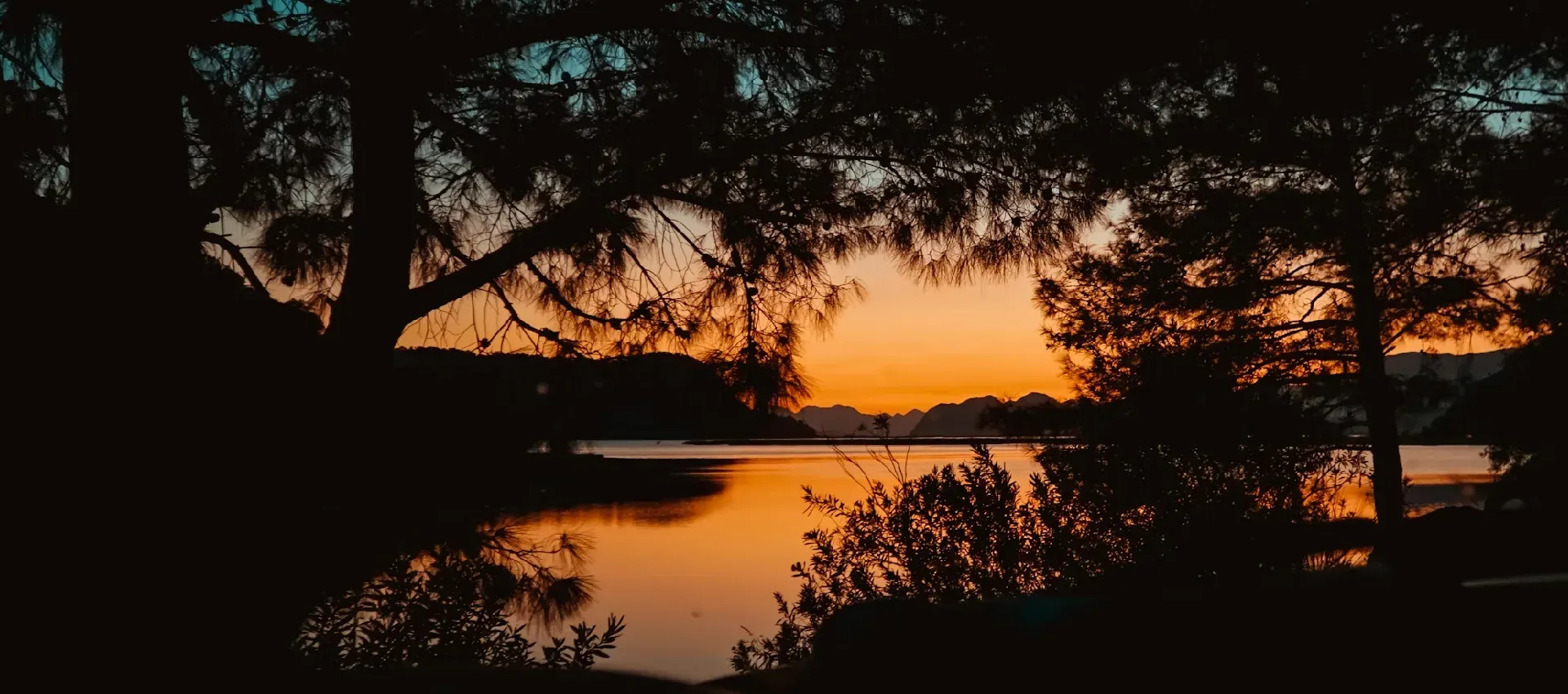 dalyan.webp