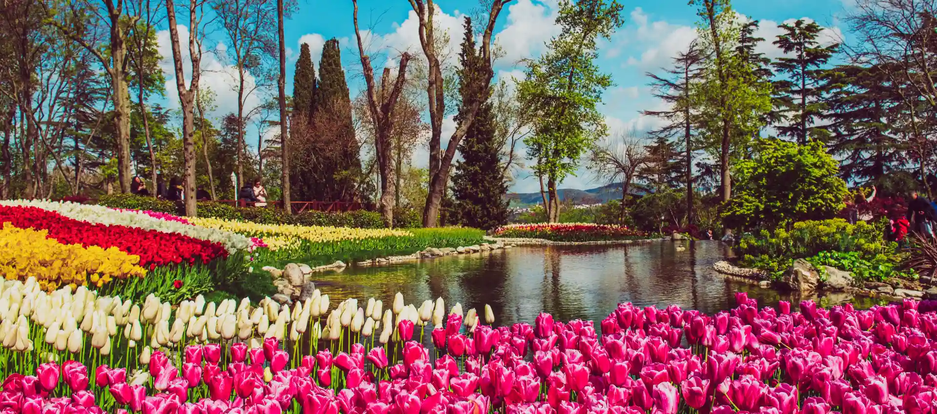 emirgan-korusu.webp
