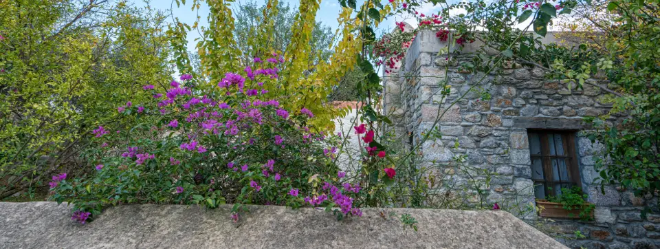 Muğla Eski Datça