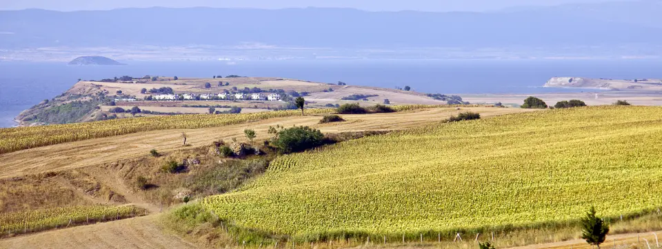 gelibolu-piknik-gorsel.webp