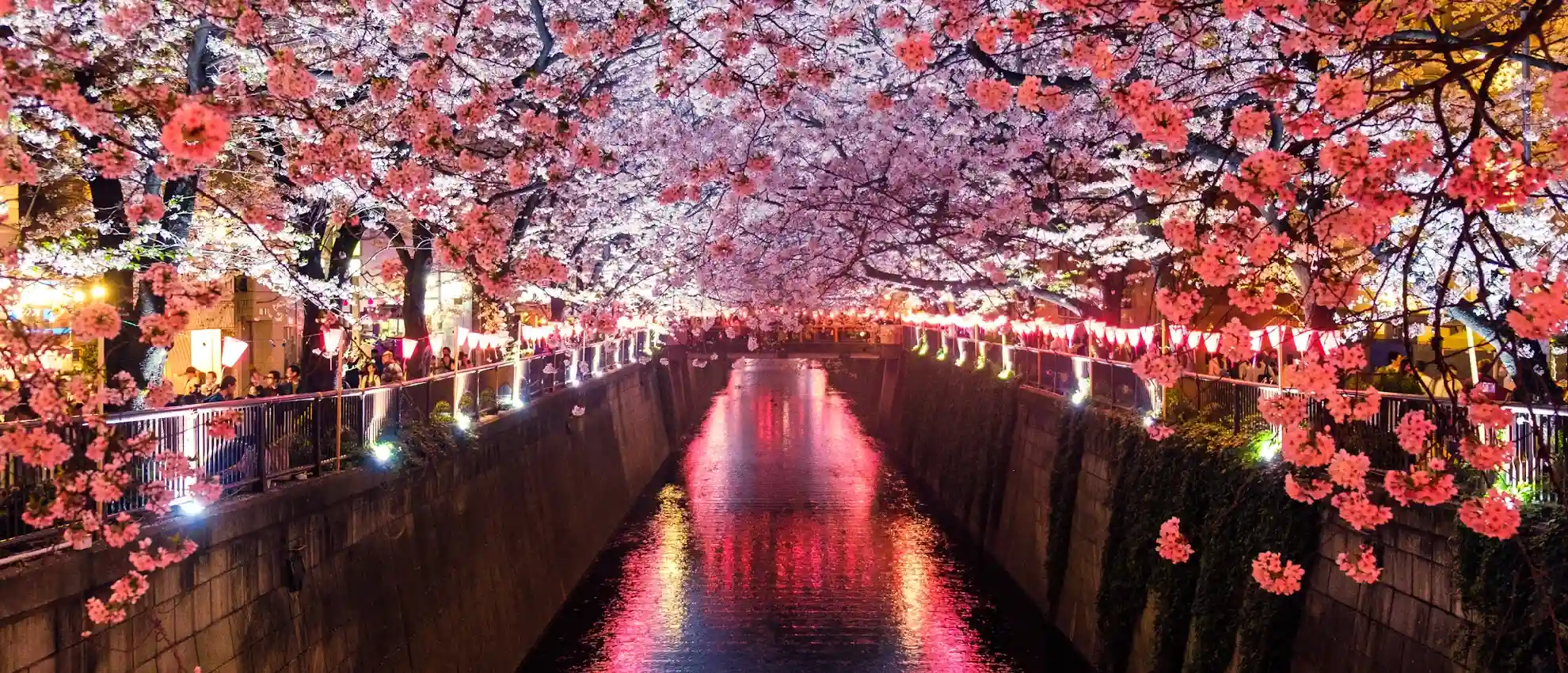 japonya-tatili.webp