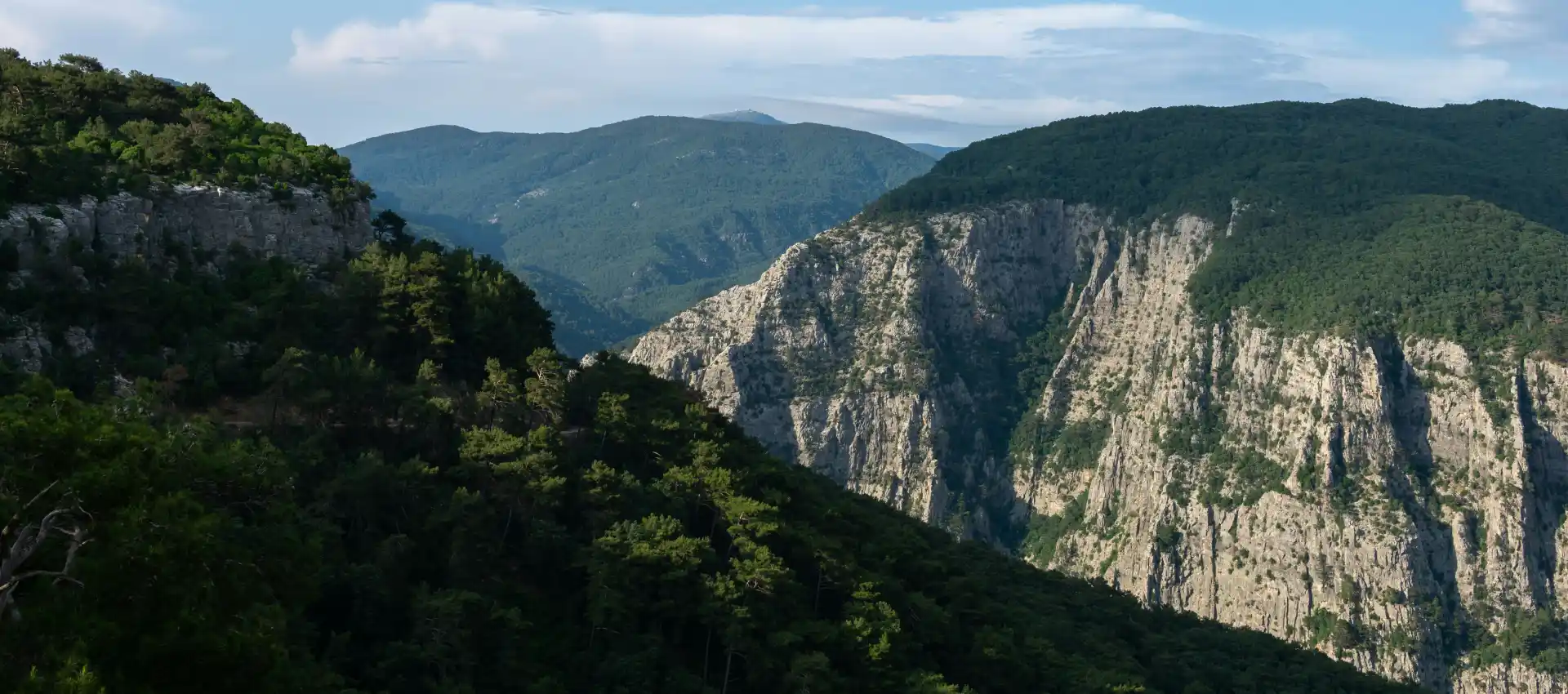kaz-daglari.webp