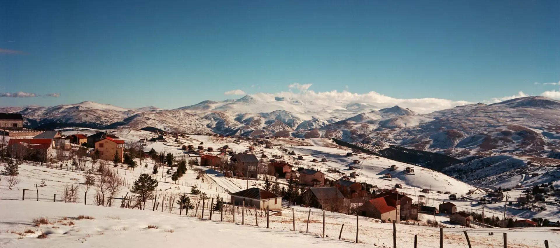 ordu.webp