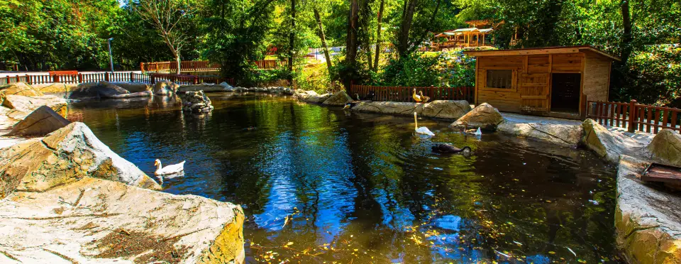 polonezkoy.webp