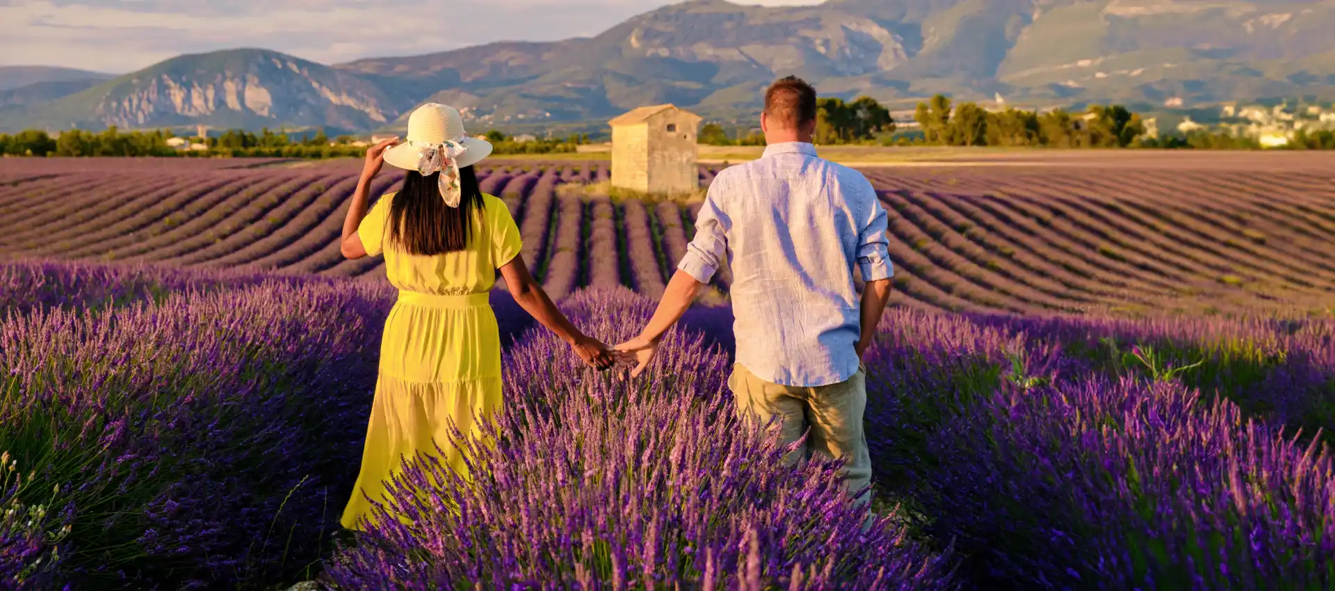 provence-bahcesi.webp