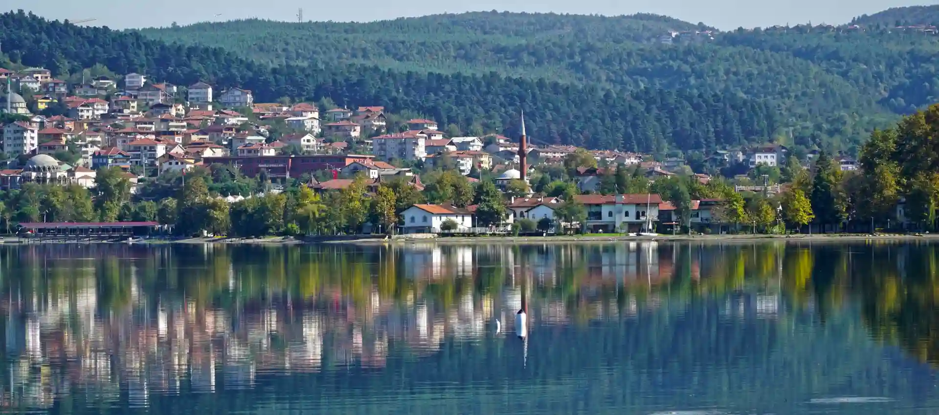 sapanca.webp